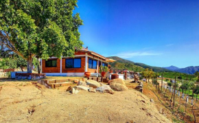Гостиница Quinta Sofia Valle de Guadalupe - Solo Adultos  Франсиско Сарко